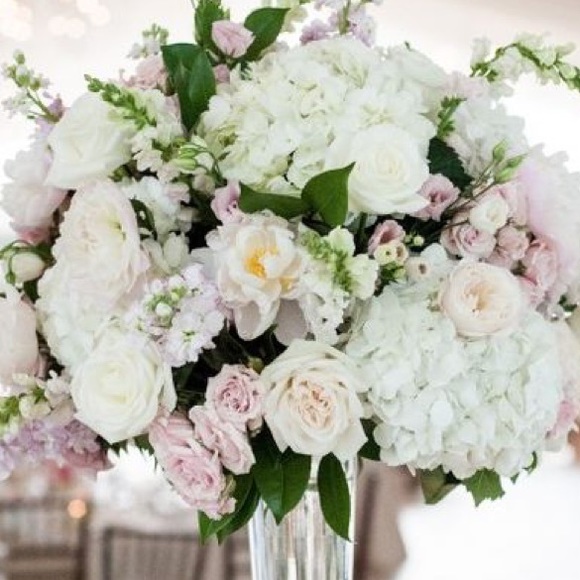 Meet your Posher, Angie - Picture 1 of 1